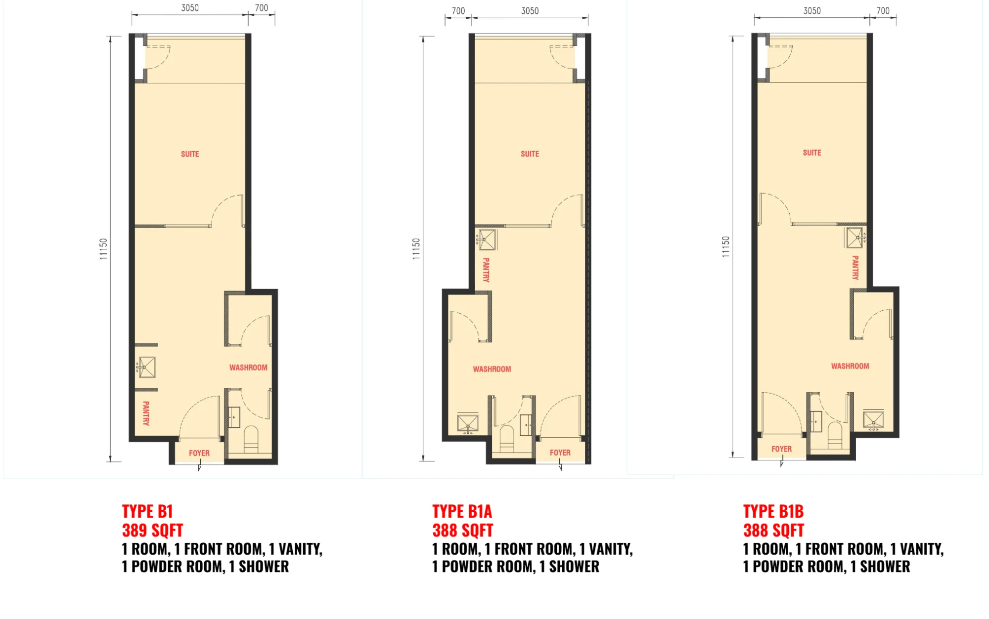 The Bedrock floor plan Type B1 / B1A / B1B, 388–389 sq ft, 1 room + front room